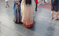 瑜伽视频教程初级下载